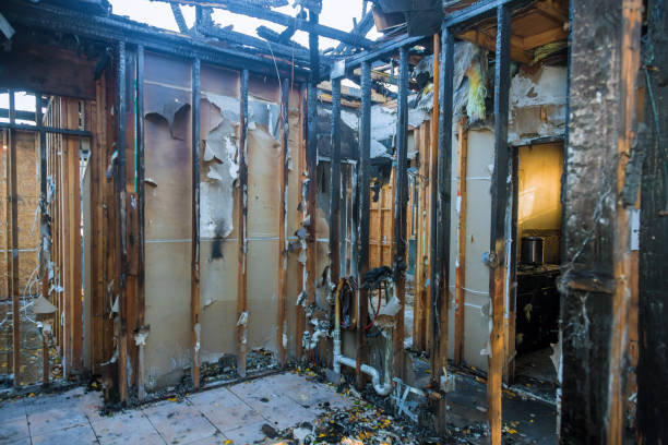 Professional Fire Damage Assessment technician working in Monroe Manor, NJ